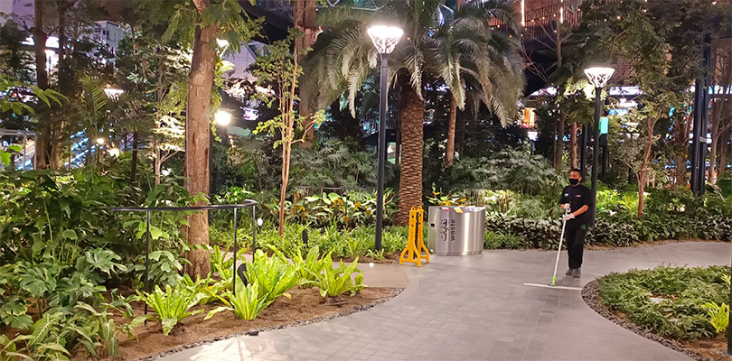 Сад в аэропорту Хамад в Дохе - столице Катара.