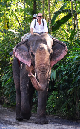 Керала. Катание на слонах